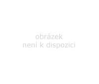 Pacientská košile - andílek barevná